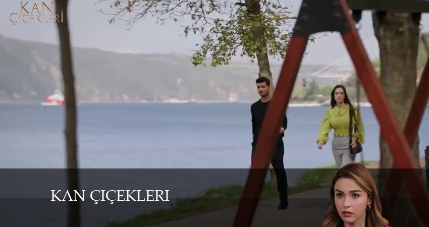 Сериал Кровавые цветы (2024) 1 сезон 428 серия смотреть онлайн в качество 1080 HD или 4K