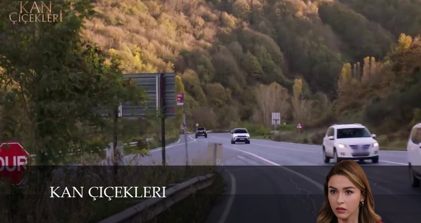 Кровавые цветы (2024) 1 сезон 445 серия смотреть онлайн в хорошем качестве