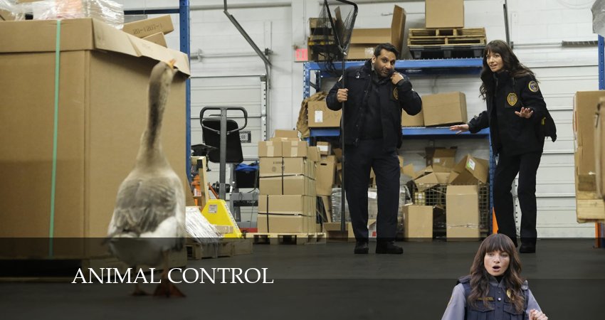 Смотреть сериал Контроль за животными 3 сезон 3 серия в отличном качестве