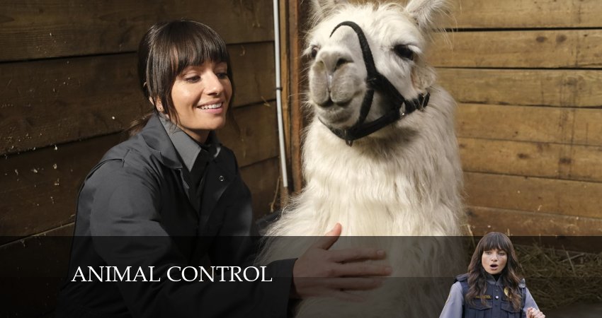 Сериал Контроль за животными (2024) 3 сезон 6 серия в хорошем качестве 1080 Full HD