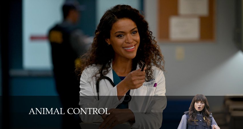 Контроль за животными (2024) 3 сезон 8 серия онлайн бесплатно в высоком качестве