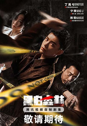 Чёрно-белый лес 1 сезон, 1-29,30,31 серия (2024, Китай) смотреть сериал онлайн