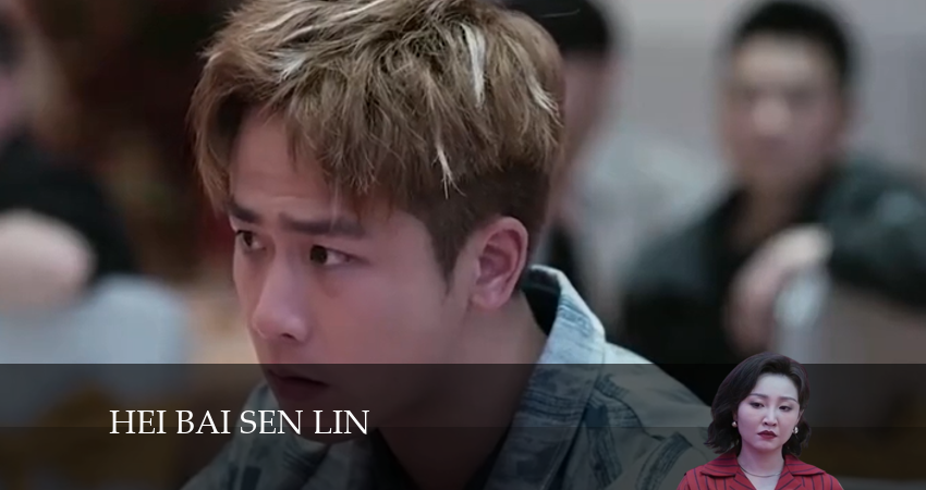 Смотреть сераил Чёрно-белый лес (2024) 1 сезон 19 серия HD 1080, 4K