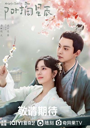 Сериал Моя жена воровка 1 сезон смотреть онлайн в HD 1080 качестве