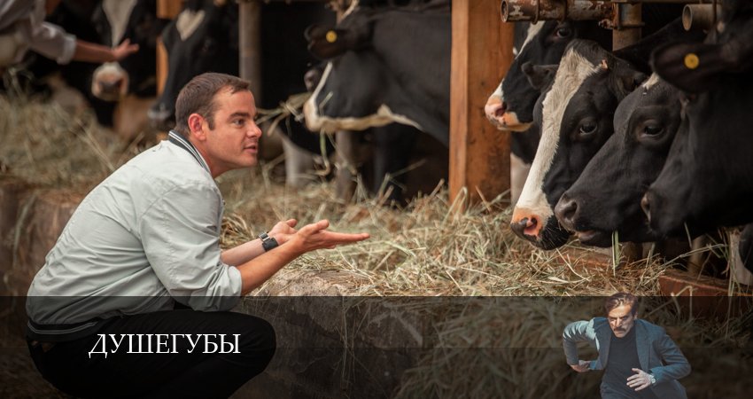 Душегубы 2 сезон 9 серия смотреть полностью без перерыва