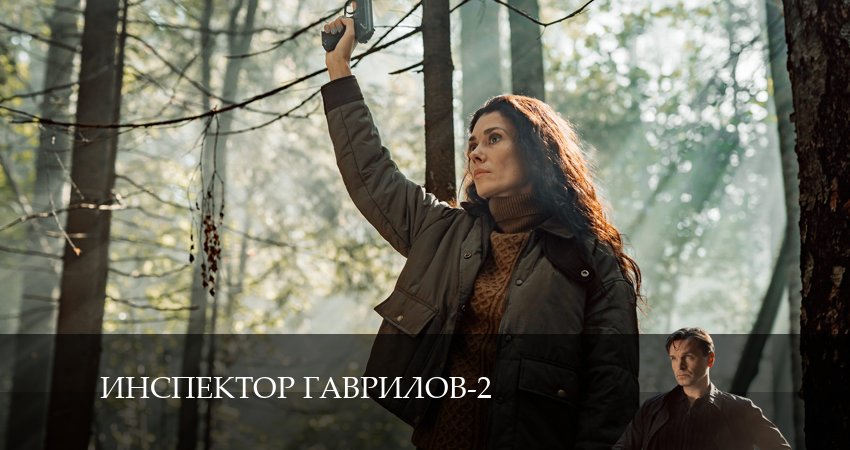 Смотреть сериал Инспектор Гаврилов 2 сезон 14 серия бесплатно и без рекламы