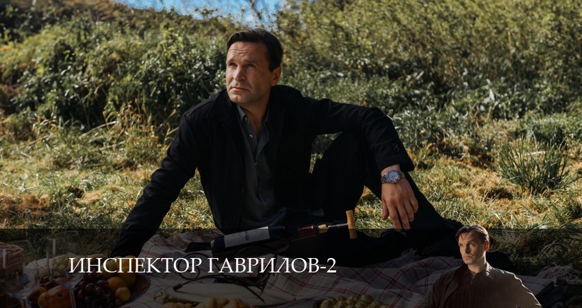 Смотреть сериал Инспектор Гаврилов 2 сезон 16 серия в отличном качестве