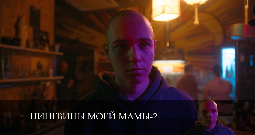 Пингвины моей мамы (2024) 2 сезон 5 серия смотреть онлайн бесплатно