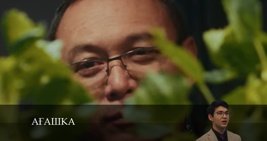 Ағашка (2024) 1 сезон 16 серия смотреть онлайн бесплатно