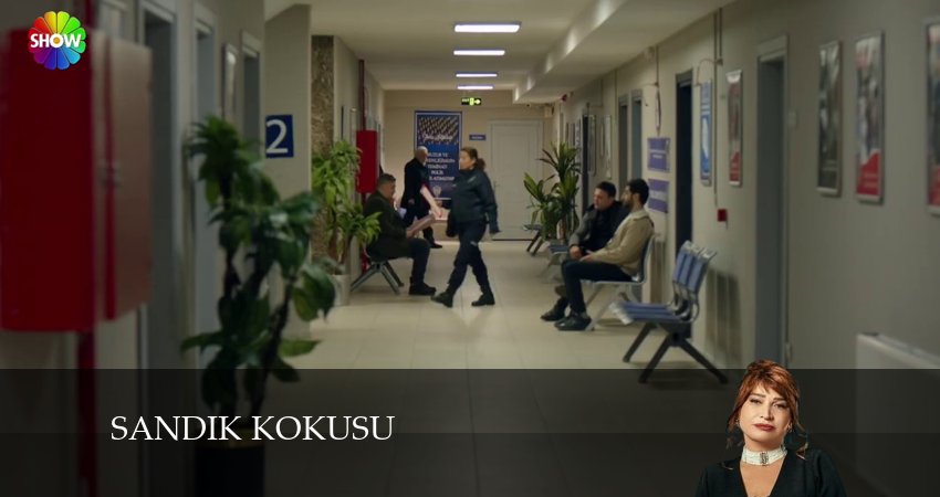 Сериал Запах сундука (2024) 1 сезон 51 серия смотреть онлайн в качество 1080 HD или 4K