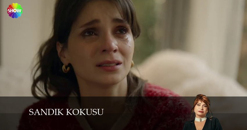 Запах сундука (2024) 1 сезон 83 серия смотреть онлайн без рекламы и регистрации