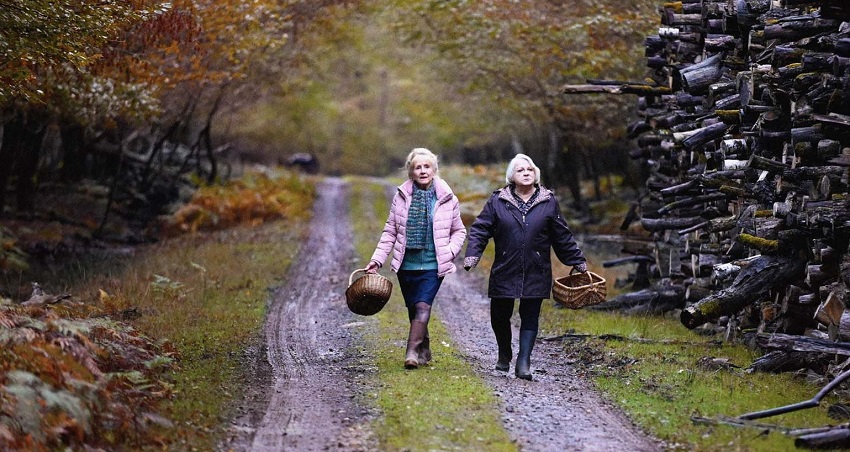 Что случилось осенью (2024) (Франция) смотреть онлайн в качестве 4K