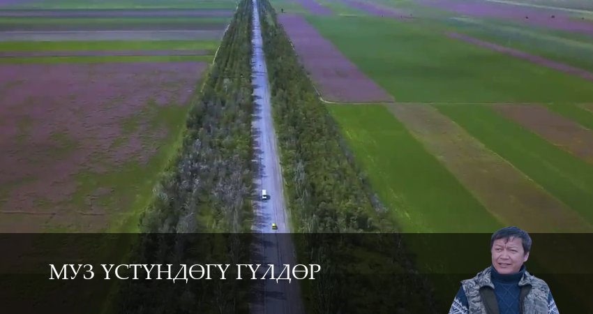 Фильм Муз yстyндeгy гyлдeр (1 сезон) сколько серий