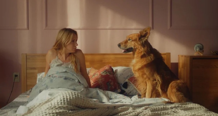 Песики 2025 смотреть онлайн без рекламы