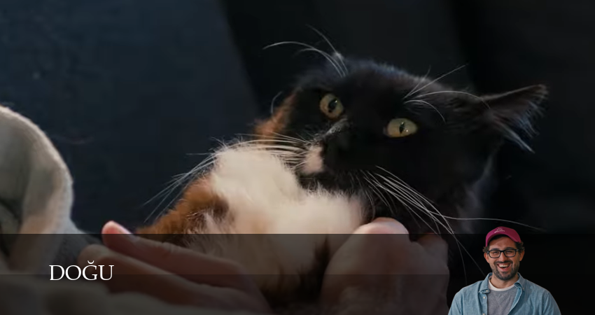 Догу 3 сезон 9 серия смотреть полностью без перерыва