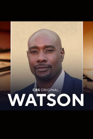 Смотреть онлайн Ватсон (2025) 1 сезон все серии в 1080p без регистрации