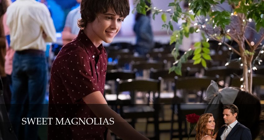 Смотреть сериал Сладкие магнолии (2025) 4 сезон 1 серия без рекламы в HD