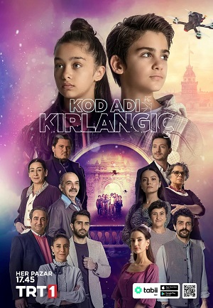 Кодовое имя Ласточка 2 сезон (2025, Турция) смотреть сериал онлайн