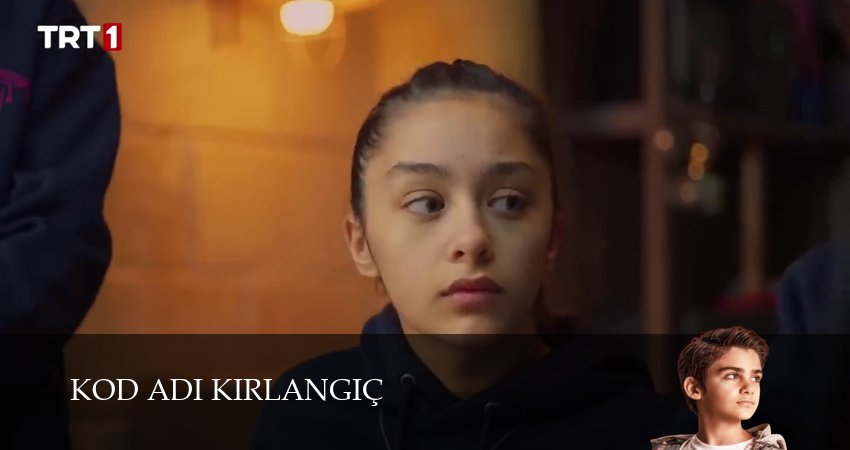 Cмотреть сериал Кодовое имя Ласточка 1 сезон 35 серия онлайн бесплатно