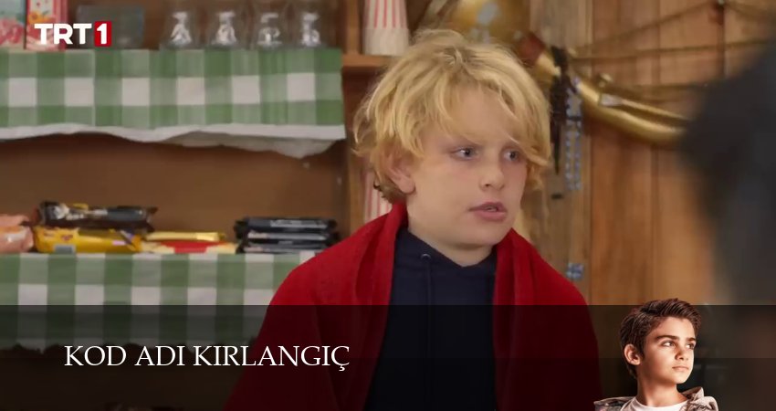 Сериал Кодовое имя Ласточка (1 сезон, 77 серия) смотреть онлайн в хорошем качестве бесплатно