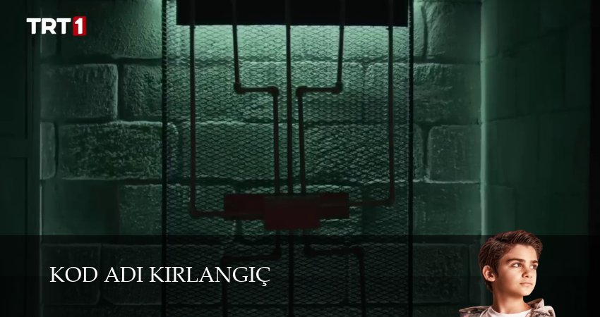 Кодовое имя Ласточка (2025) 1 сезон 81 серия полностью смотреть бесплатно без рекламы