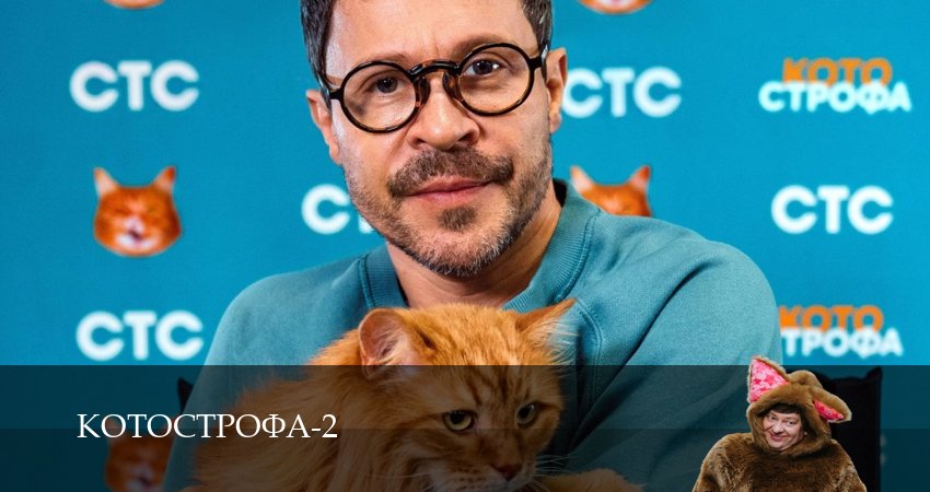 Котострофа (2024) 2 сезон 6 серия смотреть онлайн бесплатно