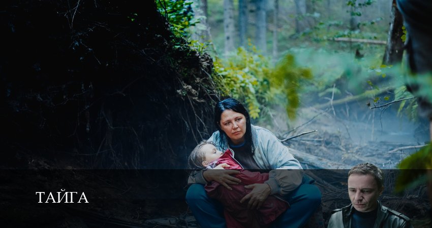 Тайга (Сериал 2025) (1 сезон, ) смотреть онлайн