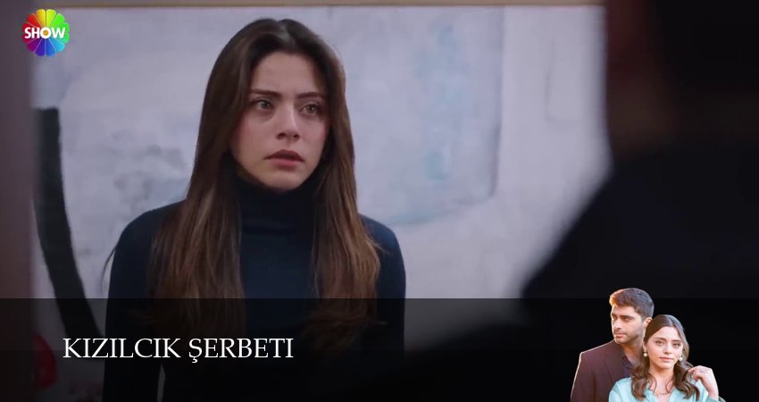 Клюквенный щербет (4 сезон) конец