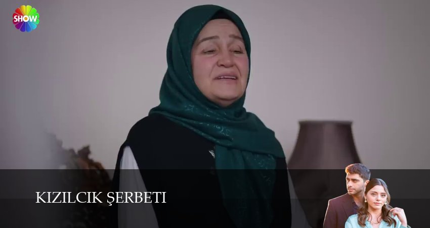 Клюквенный щербет (1 сезон, 162 серия) смотреть онлайн все серии подряд в хорошем качестве