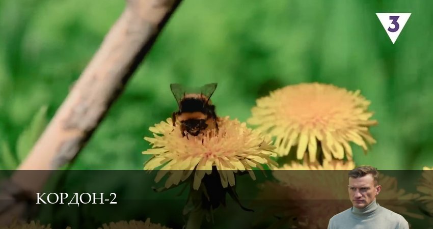 Serial (2 сезон, 2024) смотреть онлайн без рекламы