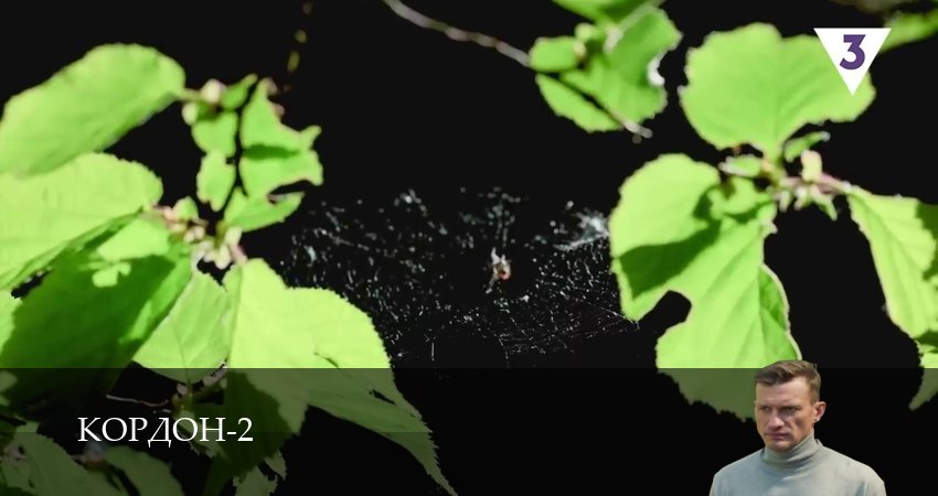 Смотреть сериал Кордон (2025) 2 сезон 15 серия в хорошем качестве онлайн