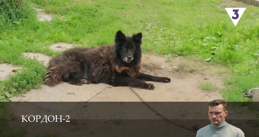 Кордон (2 сезон, 2025) смотреть онлайн все серии подряд в хорошем качестве