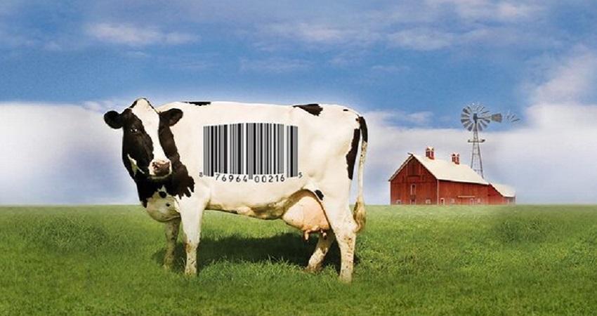 Корпорация «Еда» 2 (2023) (США) смотреть в хорошем качестве