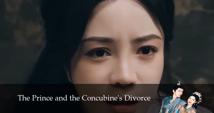 Смотреть Принц, я требую развода! 1 сезон 29 серия онлайн бесплатно без смс