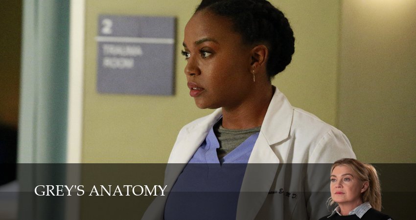 Анатомия страсти (Grey s Anatomy) (21 сезон) сериал актеры