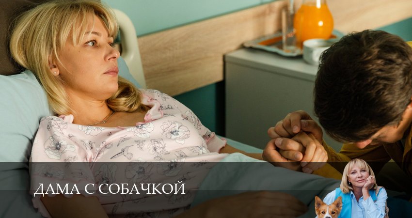 Смотреть сериал Дама с собачкой (2025) 3 сезон 3 серия без рекламы в HD
