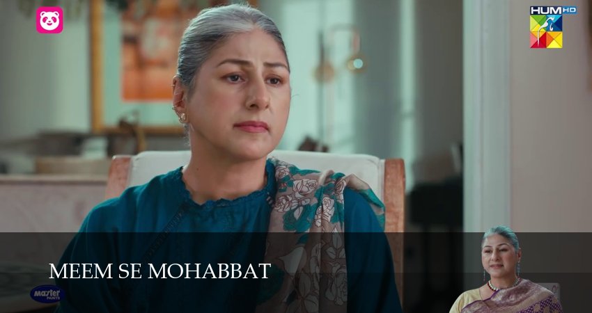 Сериал Meem Se Mohabbat (1 сезон, 1-49,50,51 серия) концовка