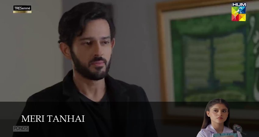 Meri Tanhai (2025) 1 сезон 24 серия смотреть бесплатно полностью