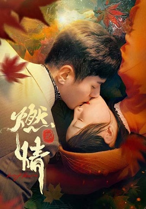 Просмотр Пылающая страсть 1 сезон онлайн в Full HD качестве без подписки