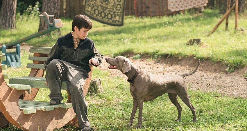 Фильм Каруза (2025) (Россия) 2025 онлайн в качестве 1080p