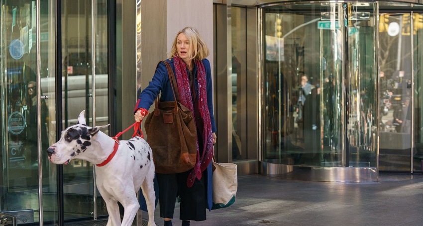 Верный друг (2024) (США) 2025 смотреть онлайн без рекламы и регистрации