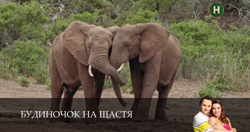 Домик на счастье (Будиночок на щастя) (2025) 6 сезон 4 серия полностью смотреть бесплатно без рекламы