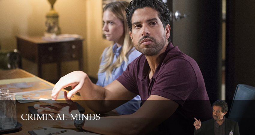 Мыслить как преступник (Criminal Minds) (19 сезон) все серии бесплатно