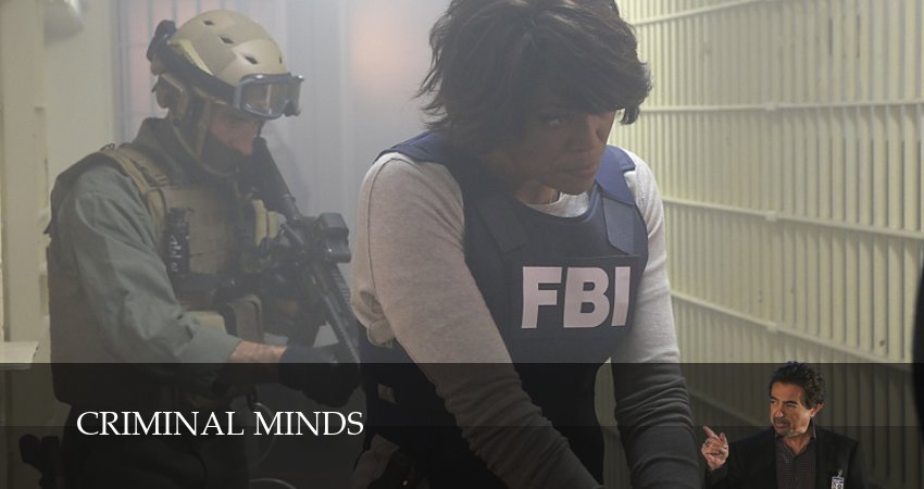 Cмотреть сериал Мыслить как преступник (Criminal Minds) 18 сезон 20 серия онлайн бесплатно