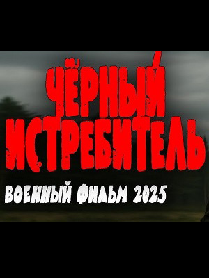 Полный 2 сезон сериала Чёрный истребитель (2 Сезон) (2025) доступен для просмотра онлайн в 4K