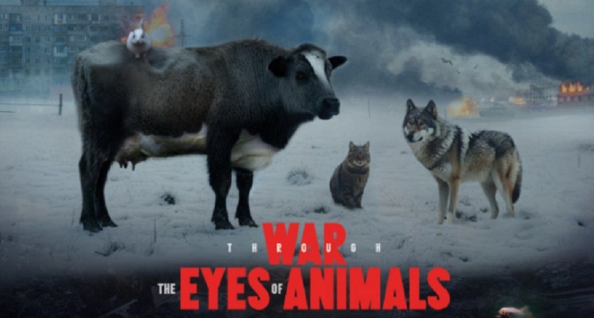 Смотреть Фильм Вiйна очима тварин (Украина) бесплатно и без рекламы