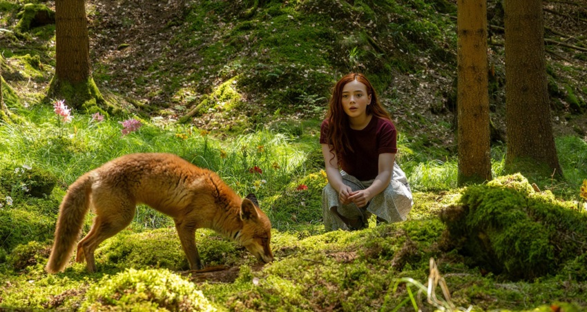 Магия четырёх стихий (2025) (Германия) полная версия смотреть бесплатно