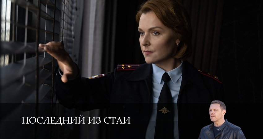 Последний из стаи 1 сезон 13 серия смотреть онлайн бесплатно в хорошем качестве