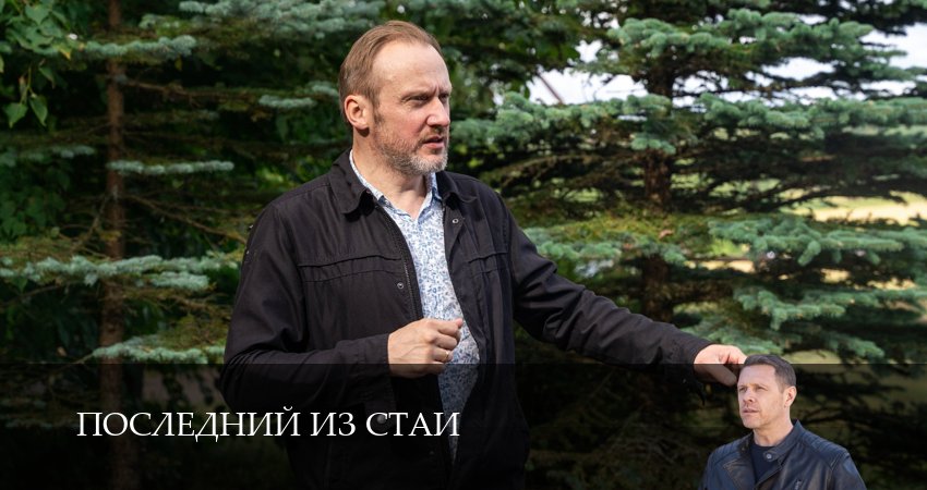 Последний из стаи 1 сезон 19 серия смотреть в хорошем качестве