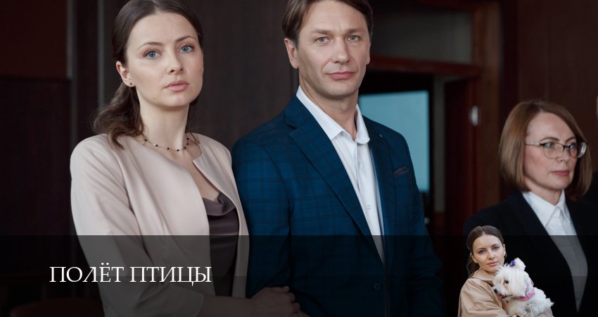 Полёт птицы (1 сезон) содержание